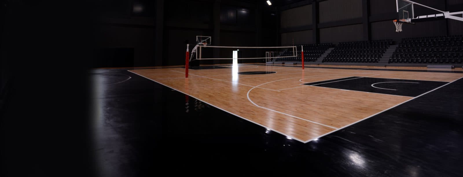 ARENA Mică